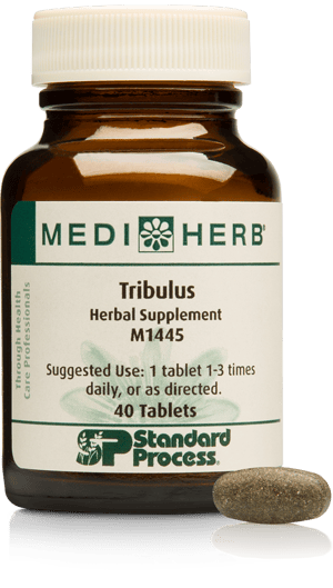 M1445-Tribulus-Bottle-Tablet